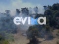 Φωτιά στην Κύμη Ευβοίας: Ισχυρές δυνάμεις στη μάχη με τις φλόγες