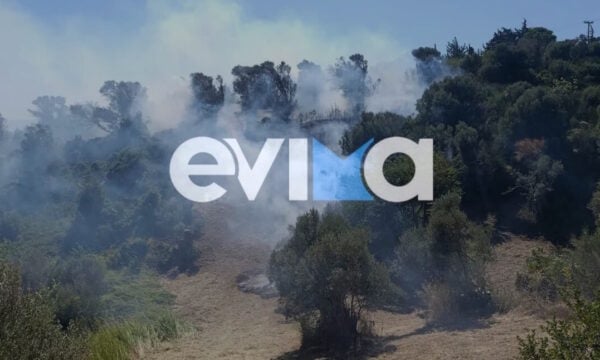 Φωτιά στην Κύμη Ευβοίας: Ισχυρές δυνάμεις στη μάχη με τις φλόγες