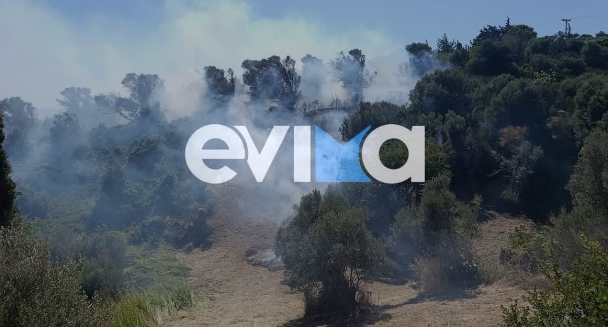 Φωτιά στην Κύμη Ευβοίας: Ισχυρές δυνάμεις στη μάχη με τις φλόγες