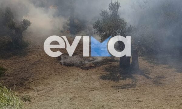 Φωτιά στην Κύμη Ευβοίας: Συνελήφθη 55χρονος για εμπρησμό, αφέθηκε ελεύθερος