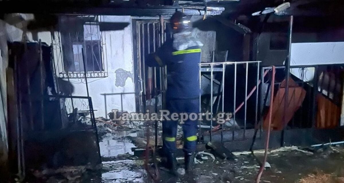 Φθιώτιδα: Νεκρή 32χρονη και σκυλάκι από αναθυμιάσεις 7 Φθιώτιδα: Νεκρή 32χρονη και σκυλάκι από αναθυμιάσεις