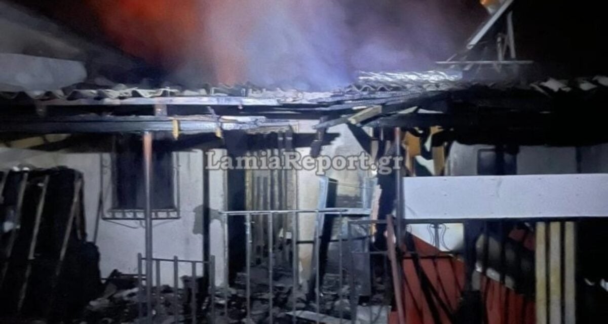 Φθιώτιδα: Νεκρή 32χρονη και σκυλάκι από αναθυμιάσεις