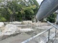 Μεταμόρφωση: Απόβλητα μονάδας σκυροδέματος στον Κηφισό – Συνελήφθη 55χρονος