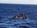 Μεταναστευτικό: Ελλάδα και άλλες τέσσερις χώρες συμφωνούν για return hubs στην Αφρική