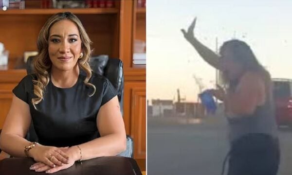 Τραγωδία στο Μεξικό: Μητέρα πέθανε προστατεύοντας τον 3χρονο γιο της από σμήνος μελισσών, δέχθηκε 300 τσιμπήματα – Βίντεο