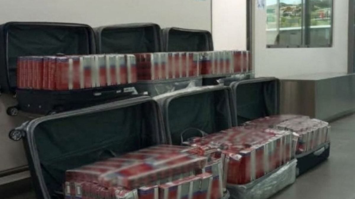 Μύκονος: Στις αποσκευές δύο επιβατών 120.000 λαθραία τσιγάρα και 4,5 κιλά καπνού – «Λαβράκι» από την ΑΑΔΕ 1 Μύκονος: Στις αποσκευές δύο επιβατών 120.000 λαθραία τσιγάρα και 4,5 κιλά καπνού – «Λαβράκι» από την ΑΑΔΕ