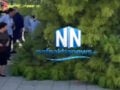 Ναύπακτος: Μεγάλο κλαδί δέντρου έπεσε σε πλατεία Ιερού Ναού – 3 τραυματίες
