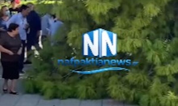 Ναύπακτος: Μεγάλο κλαδί δέντρου έπεσε σε πλατεία Ιερού Ναού, 3 τραυματίες