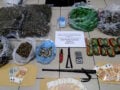 Θεσσαλονίκη: Εξαρθρώθηκε κύκλωμα διακίνησης ναρκωτικών – Κατασχέθηκαν πάνω από 3,5 κιλά κάνναβης και κοκαΐνης, 8 συλλήψεις