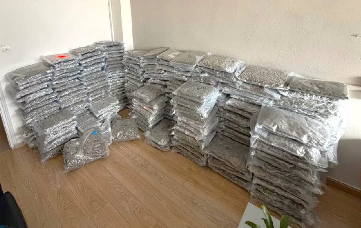 Ηγουμενίτσα: 300 κιλά κάνναβης κρυμμένα σε φορτηγό – Συνελήφθη 36χρονος οδηγός