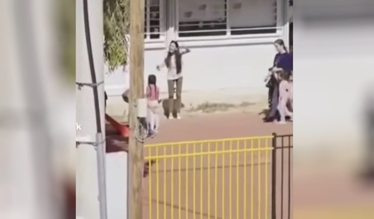 Άνω Λιόσια: Σε άλλο νηπιαγωγείο μετακινείται η διευθύντρια που προπηλάκισε παιδιά – Στο νοσοκομείο μετά την επίθεση συγγενών