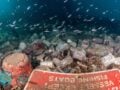 Χαλκιδική: Σκουπίδια εξακολουθούν να υπάρχουν στον βυθό του Πόρτο Κουφό – 11,5 τόνοι απομακρύνθηκαν σε 5 χρόνια
