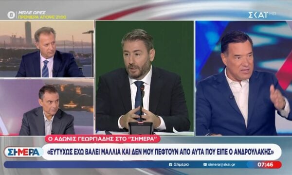 Α. Γεωργιάδης: «Ευτυχώς έχω βάλει μαλλιά και δεν μου πέφτουν από αυτά που είπε ο Ανδρουλάκης»