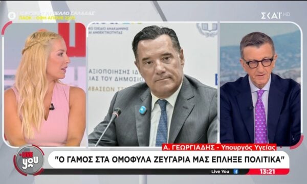 Α. Γεωργιάδης: «Ο γάμος στα ομόφυλα ζευγάρια μάς έπληξε πολιτικά»