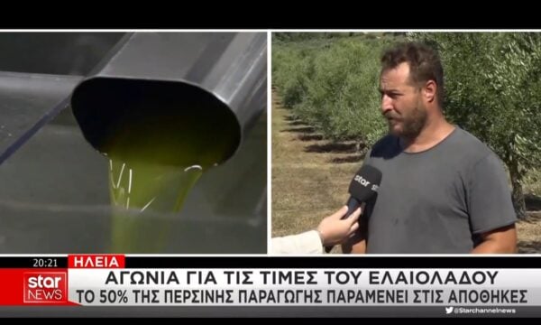 Αγωνία για τις του ελαιόλαδου στην Ηλεία – Το 50% της περσινής παραγωγής παραμένει στις αποθήκες