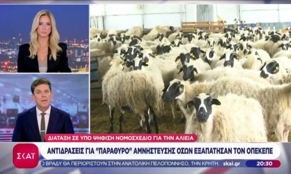 Αντιδράσεις για «παράθυρο» αμνήστευσης όσων εξαπάτησαν των ΟΠΕΚΕΠΕ – Τι απαντά το Υπουργείο Αγροτικής Ανάπτυξης