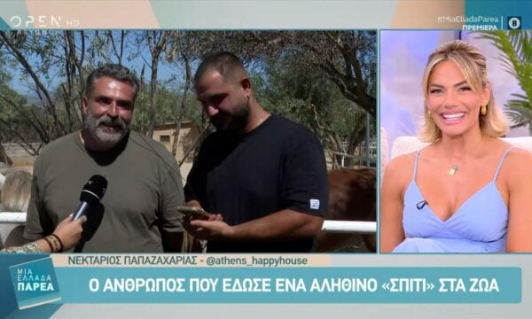 Athens Happy House: Το «σπίτι αγκαλιά» για ζώα που έχουν ανάγκη
