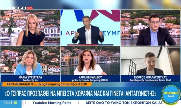 Χ. Κεφαλίδου: «Ο Τσίπρας προσπαθέι να μπει στα χωράφια μας και γίνεται ανταγωνιστής»