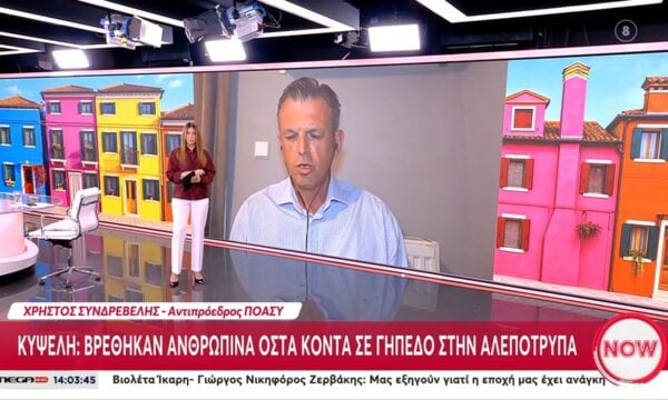 Χ. Συνδερέλης: «Οι αστυνομικοί ερχόμαστε από μια διαμαρτυρία για τα αιτήματά μας – Δεν έχουν ικανοποιηθεί»