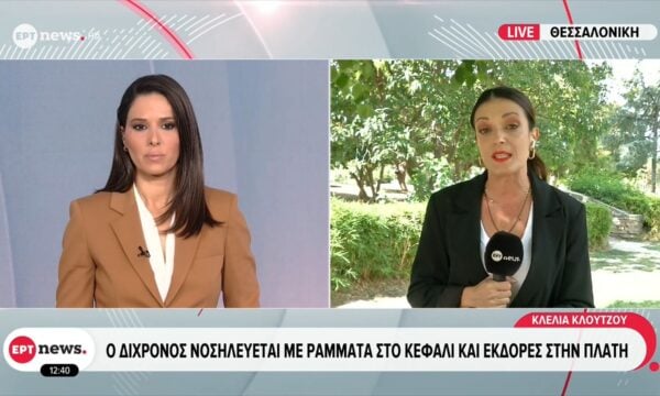 Χαλκιδική: Άγριο ζώο επιτέθηκε σε διάστημα λίγων ημερών σε ένα παιδάκι και έναν 46χρονο