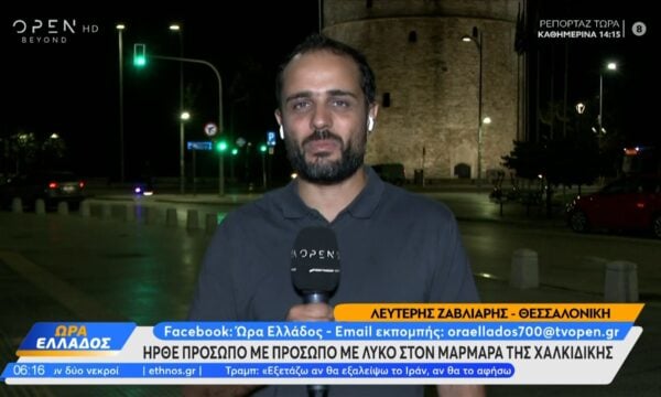 Χαλκιδική: Πρόσωπο με πρόσωπο με λύκο στον Μαρμαρά
