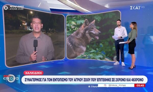 Χαλκιδική | Συναγερμός για τον εντοπισμό του άγριου ζώου που επιτέθηκε σε 2χρονο και 46χρονο
