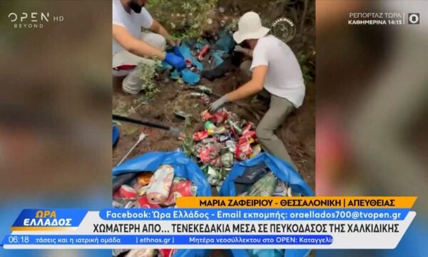 Χωματερή από τενεκεδάκια μέσα σε πευκόδασος της Χαλκιδικής