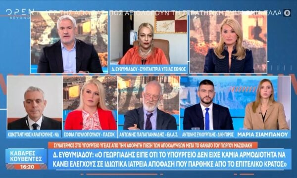 Δ. Ευθυμιάδου: «Εκνευρισμένος ο Άδωνις Γεωργιάδης ανακοίνωσε μέτρα για την προστασία των πολιτών»