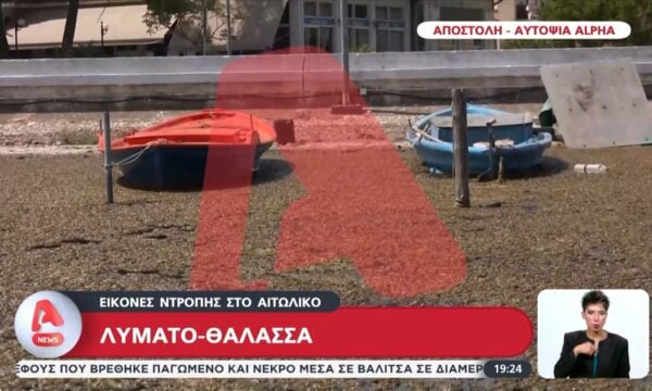 Εικόνες ντροπής στο Αιτωλικό: Πνιγμένη στα λύματα η λιμνοθάλασσα