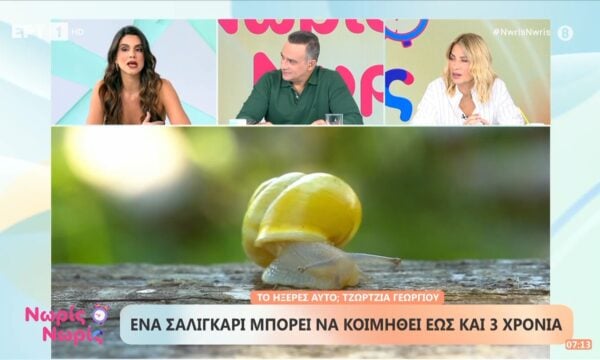 Ένα σαλιγκάρι μπορεί να κοιμηθεί έως και τρία χρόνια