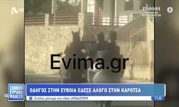 Εύβοια: Οδηγός έδεσε άλογο σε καρότσα
