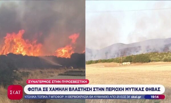 Φωτιά σε χαμηλή βλάστηση στην περιοχή Μύτικας Θήβας – Συναγερμός στην πυροσβεστική