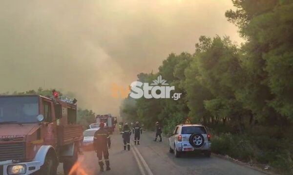 Φωτιά σε πευκοδάσος στην Εύβοια