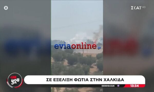 Φωτιά στη Χαλκίδα σε αγροτική έκταση