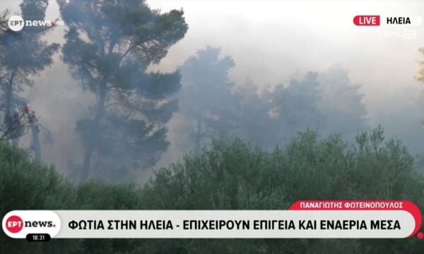 Φωτιά στην Ηλεία – Επιχειρούν επίγεια και εναέρια μέσα