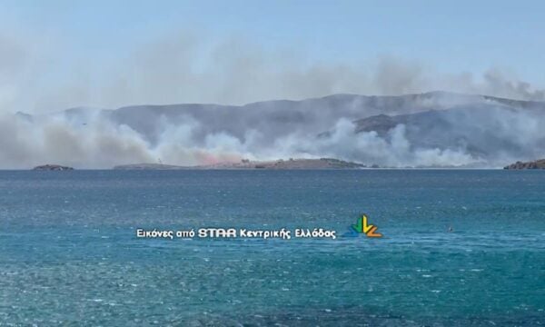 Φωτιά στην Κάρυστο: Μηνύματα από το 112, επιχειρούν 13 εναέρια