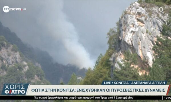 Φωτιά στην Κόνιτσα: Ενισχύθηκαν οι πυροσβεστικές δυνάμεις