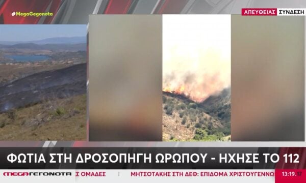 Φωτιά στην Κόνιτσα & στη Δροσοπηγή Ωρωπού – Ήχησε το 112