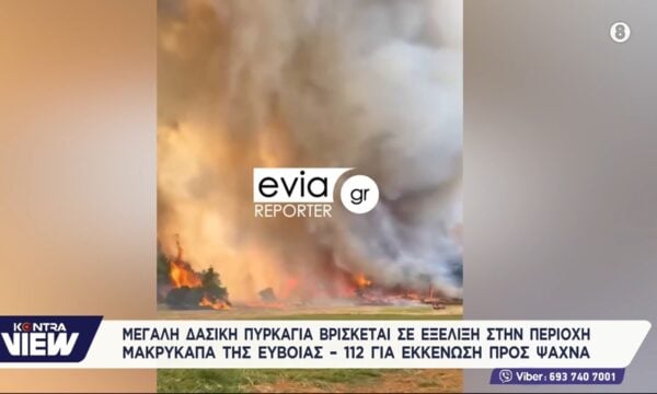 Φωτιά στην Μακρυκάπα & Ψαχνά Εύβοιας: Ενισχύθηκαν οι δυνάμεις – Εστάλη μήνυμα 112 για απομάκρυνση