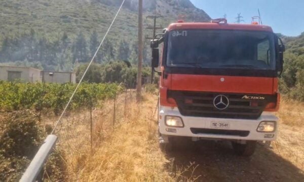Φωτιά στην περιοχή του Parnass στο δήμο Διστόμου Αράχωβας Αντίκυρας.