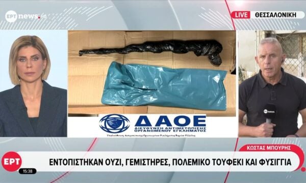 Για τη δολοφονία υψηλόβαθμου στελέχους της Ντάλτον προορίζονταν τα όπλα
