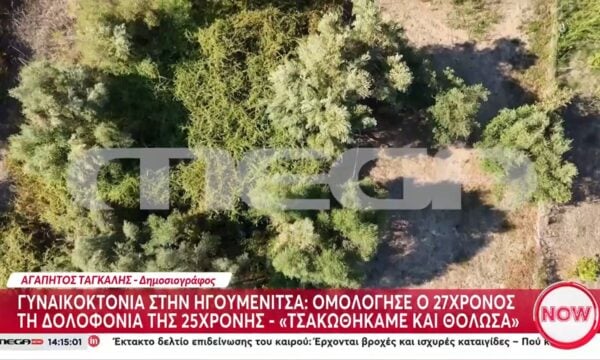 Γυναικοκτονία στην Ηγουμενίτσα | Ομολόγησε ο 27χρονος για τη δολοφονία της 25χρονης: «Τσακωθήκαμε και θόλωσα»