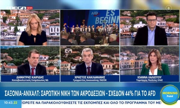 Ι. Λαλιώτου: «Τα προβλήματα όσων ψηφίζουν ακροδεξιά είναι υπαρκτά και δεν υπάρχουν λύσεις»