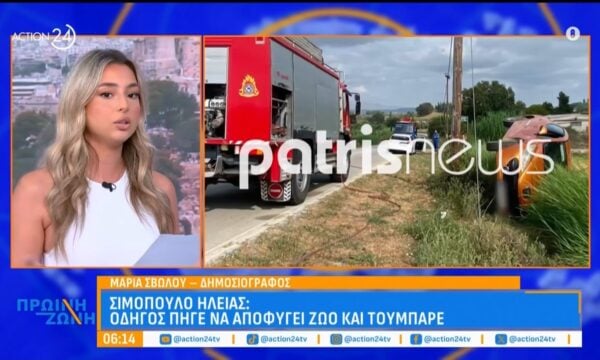 Ηλεία: Τούμπαρε αυτοκίνητο στην προσπάθεια νεαρής οδηγού να αποφύγει ζώο
