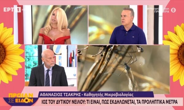 Ιός Δυτικού Νείλου: Τι είναι, πώς εκδηλώνεται, τα προληπτικά μέτρα