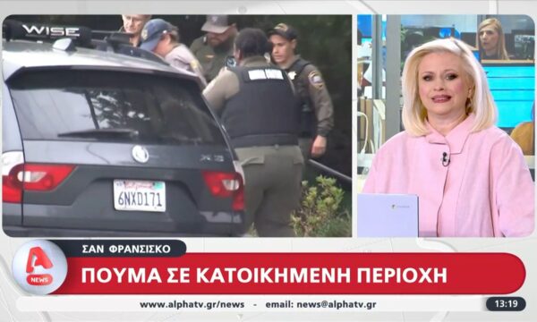 ΗΠΑ: Κούγκαρ περιδιάβαινε ανάμεσα στα σπίτια στο Σαν Φρανσίσκο