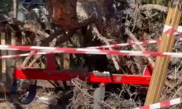 Καλαμαριά: Κλειστή παραμένει η παιδική χαρά μετά την πτώση του δέντρου – Νέο βίντεο από το σημείο