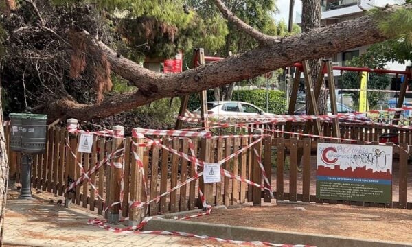 Kλειστό το Πάρκο Αιγαίου στην Καλαμαριά Θεσσαλονίκης μετά την πτώση πεύκου