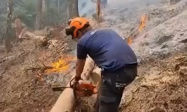 Κόνιτσα: Κόβουν κορμούς με αλυσοπρίονα για να ανακόψουν την πορεία της φωτιάς