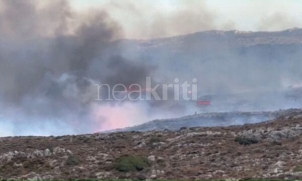 Κρήτη: Συνεχίζεται η μάχη στη φωτιά στη Σητεία – Στα 500 μέτρα από οικισμό η πυρκαγιά